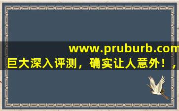 www.pruburb.com巨大深入评测，确实让人意外！,www开头的域名