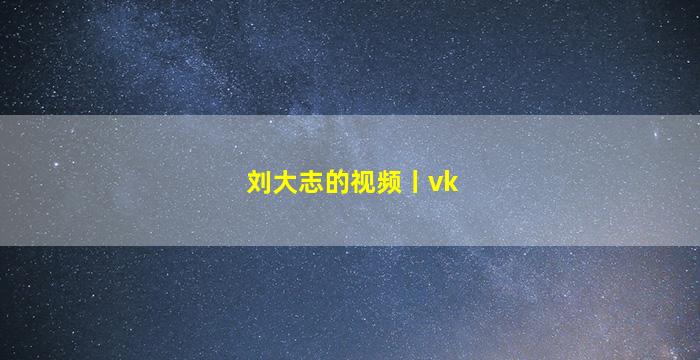 刘大志的视频丨vk